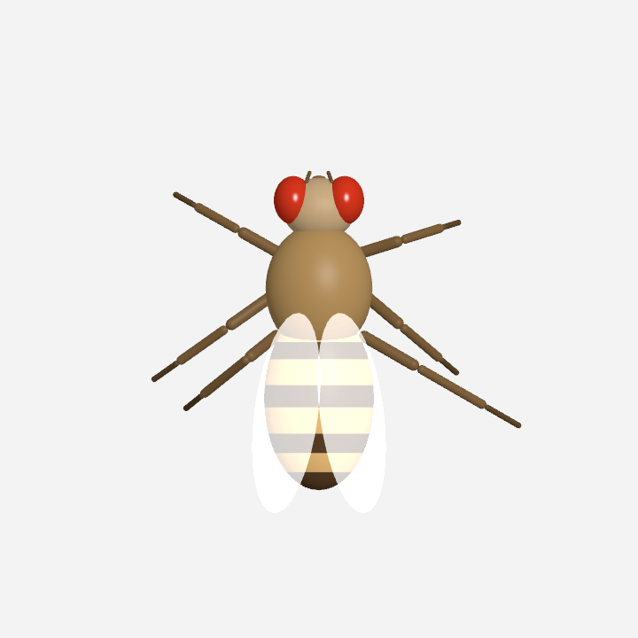 A detailed fruit fly with red eyes, translucent wings, and six articulated legs